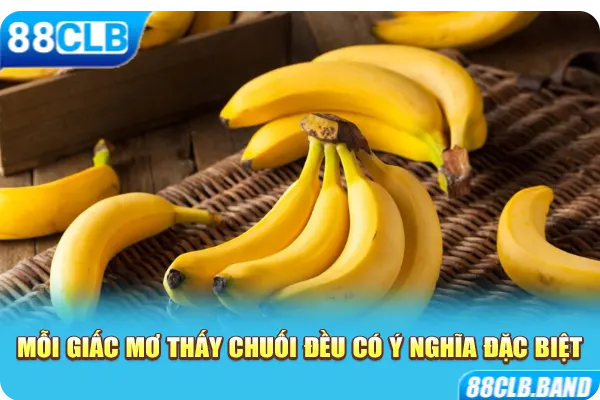 Mỗi giấc mơ thấy chuối đều có ý nghĩa đặc biệt