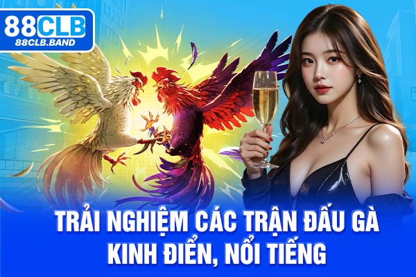 Trải nghiệm các trận đấu gà kinh điển, nổi tiếng